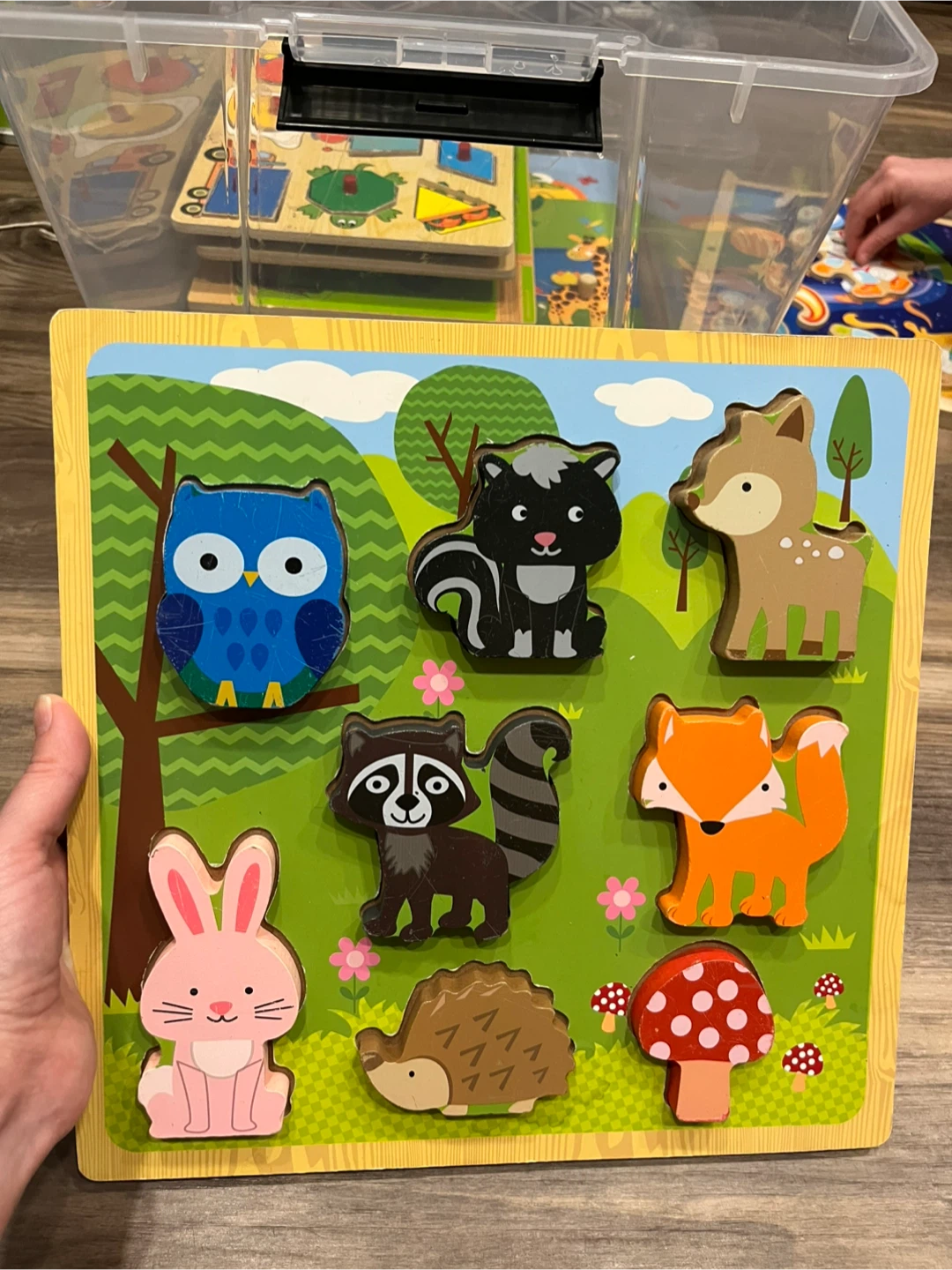 Wooden Animal Peg Puzzle