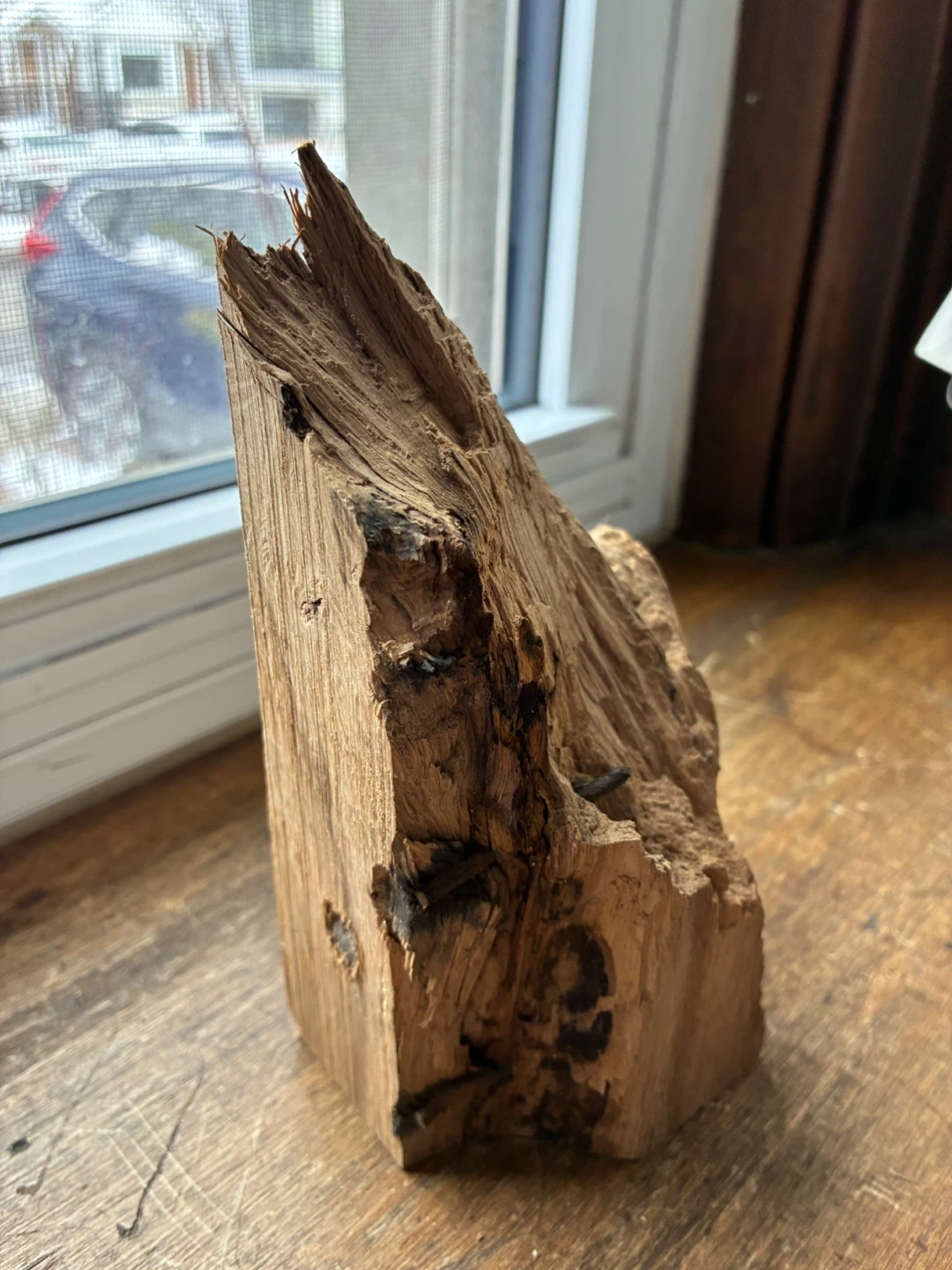 $12 Wood Burl paperweight art  Elmsdale Road Donlands firewood - photo 2