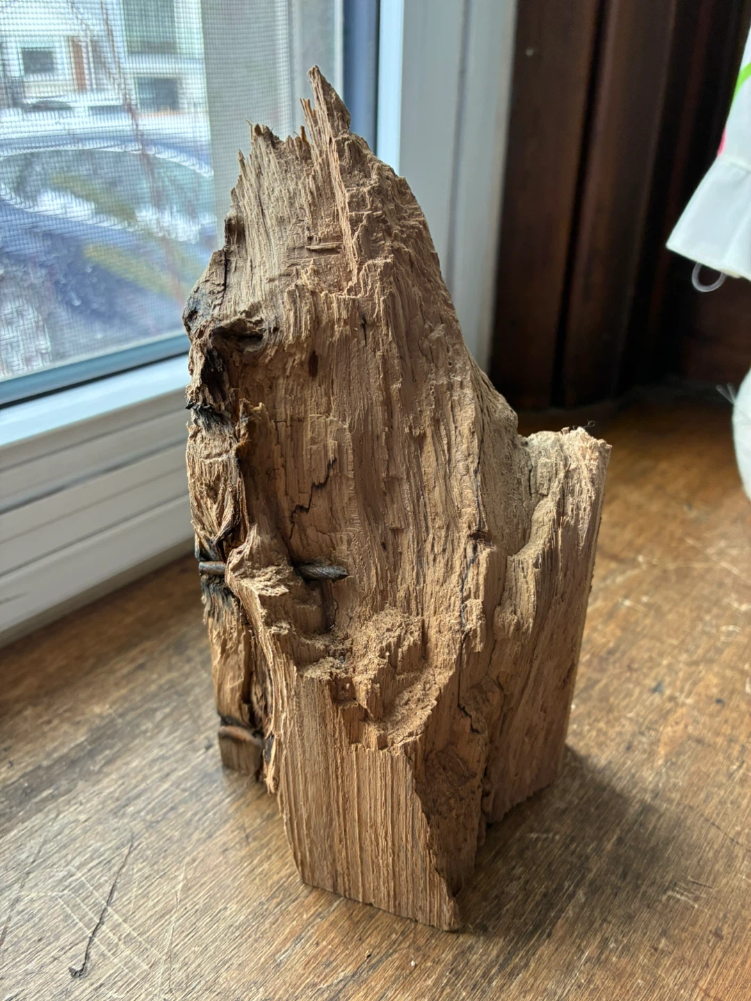 $12 Wood Burl paperweight art  Elmsdale Road Donlands firewood
