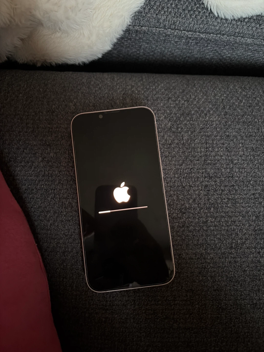 Apple iPhone 13 Pink