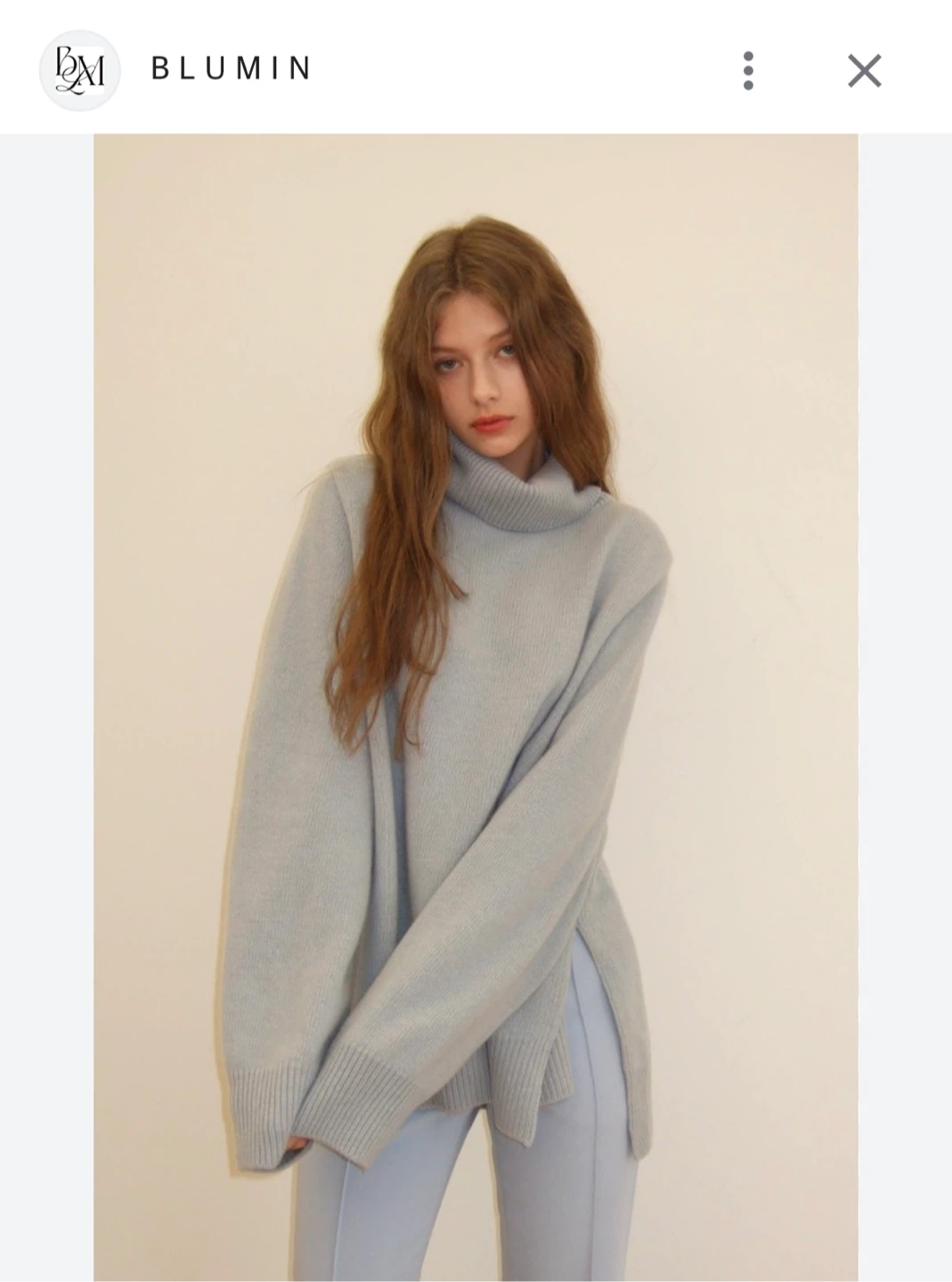 Blumin oversized turtleneck knit