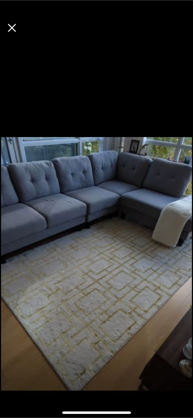 Warren structube Couch for sale