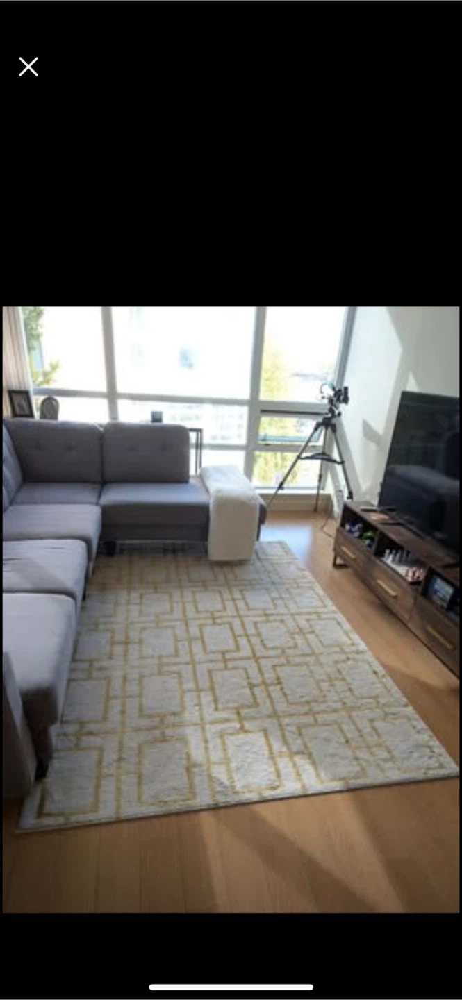 Warren structube Couch for sale - photo 2