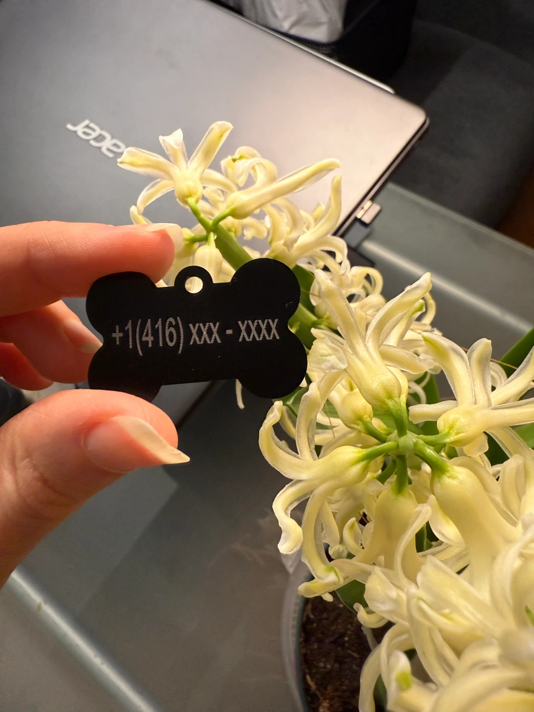 🐾 Custom Pet Tag (Dog / Cat) - 10 CAD - photo 2