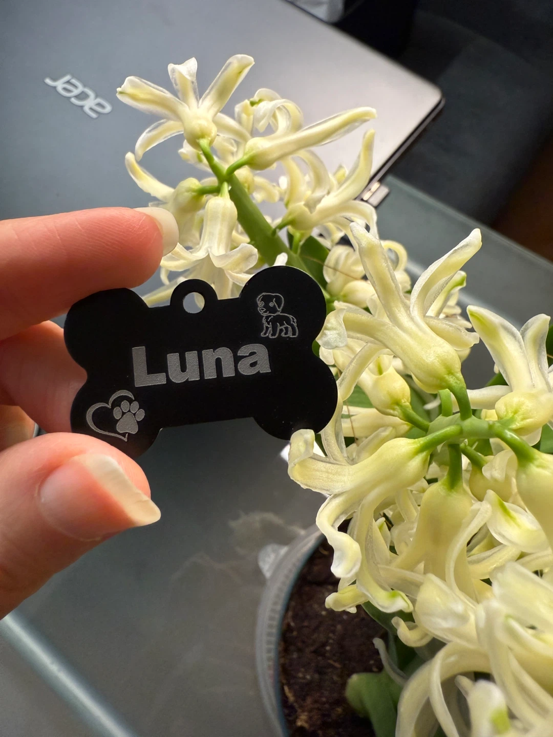 🐾 Custom Pet Tag (Dog / Cat) - 10 CAD