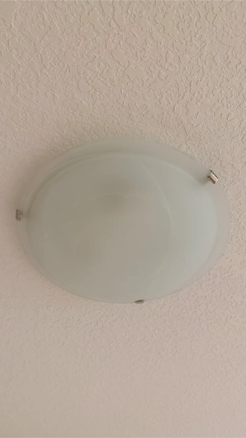 Flush Mount Ceiling Light Fixture