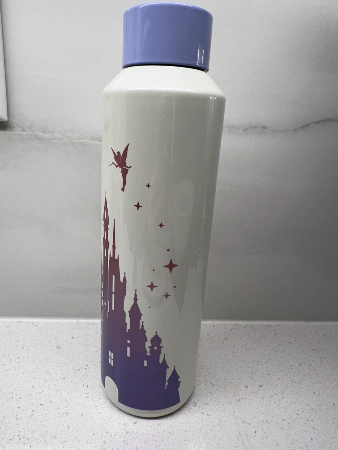 Brand New Hong Kong Disneyland Stainless Steel Water Bottle - photo 2