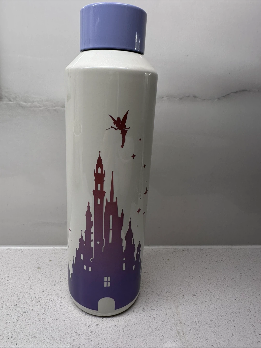 Brand New Hong Kong Disneyland Stainless Steel Water Bottle - photo 3
