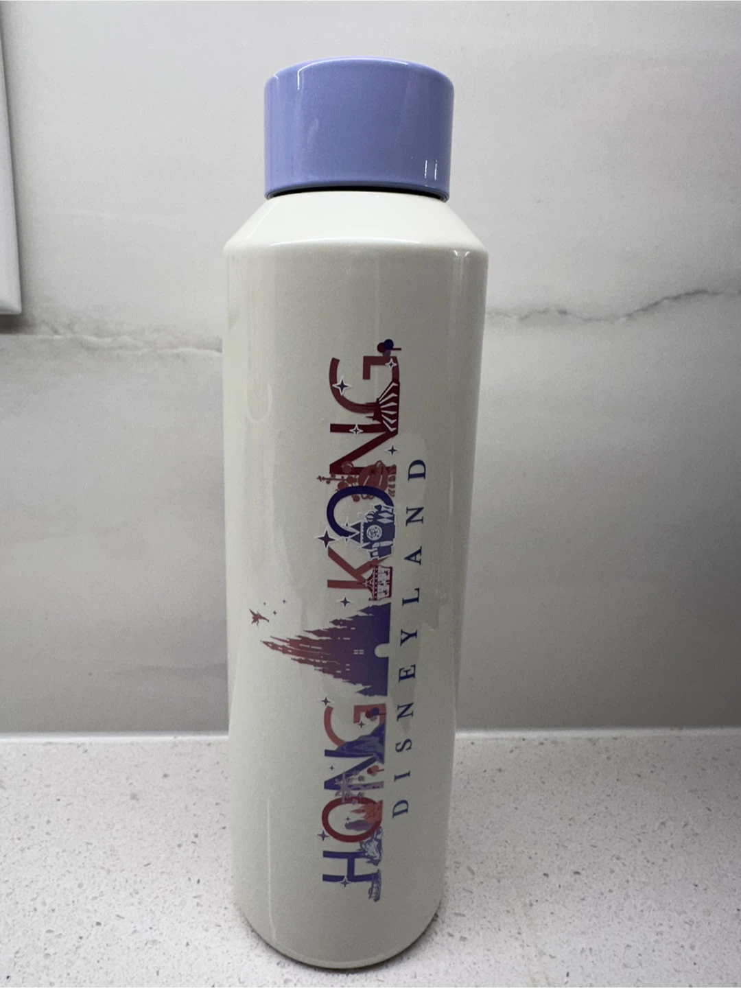 Brand New Hong Kong Disneyland Stainless Steel Water Bottle