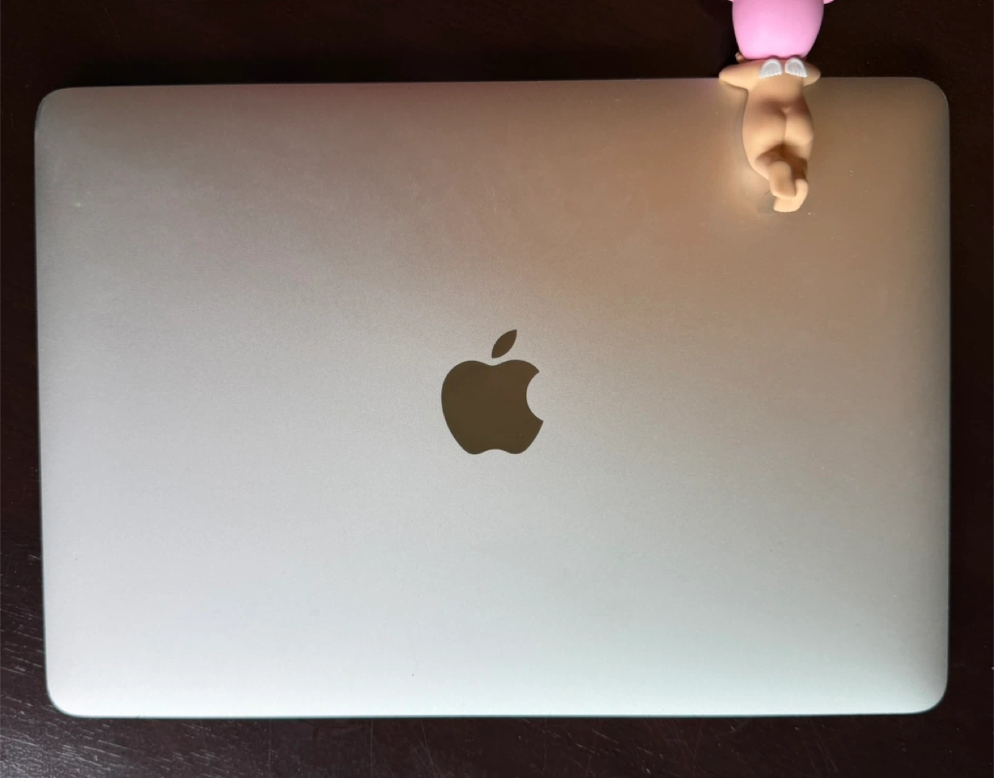 Apple MacBook Retina 12-Inch (2017) - photo 2