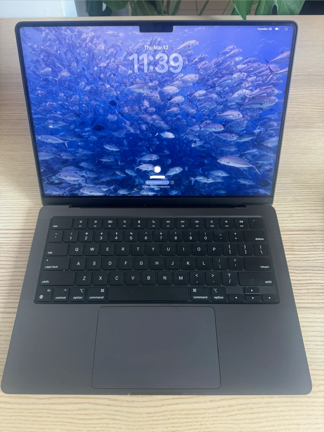 Apple MacBook Pro 14-inch 2025