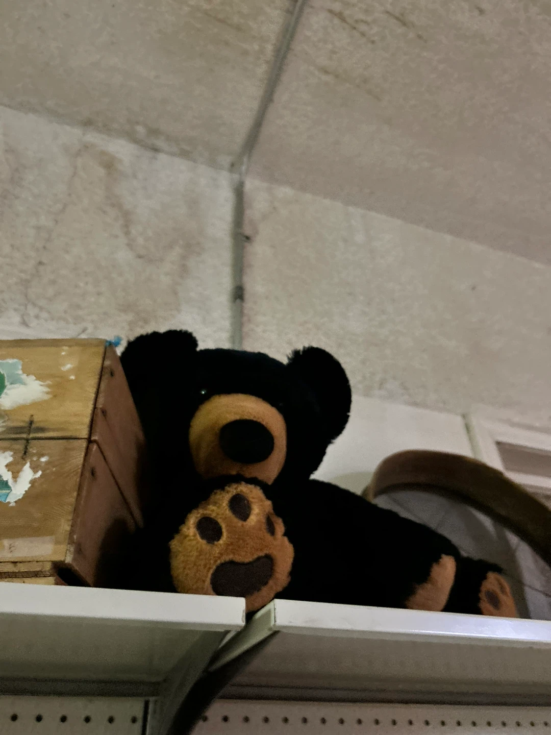 Black teddy bear plush toy