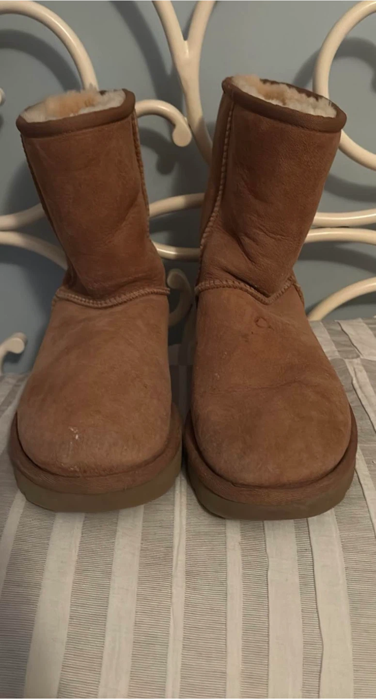 UGG Australia Classic Short Boots chestnut size 6  Brown