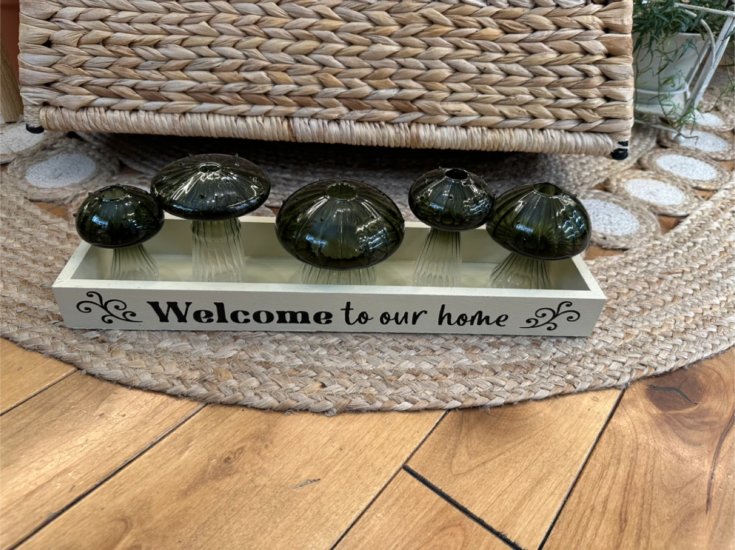 6pc Glass Mushroom Propagation/Bud Vase sets - photo 2