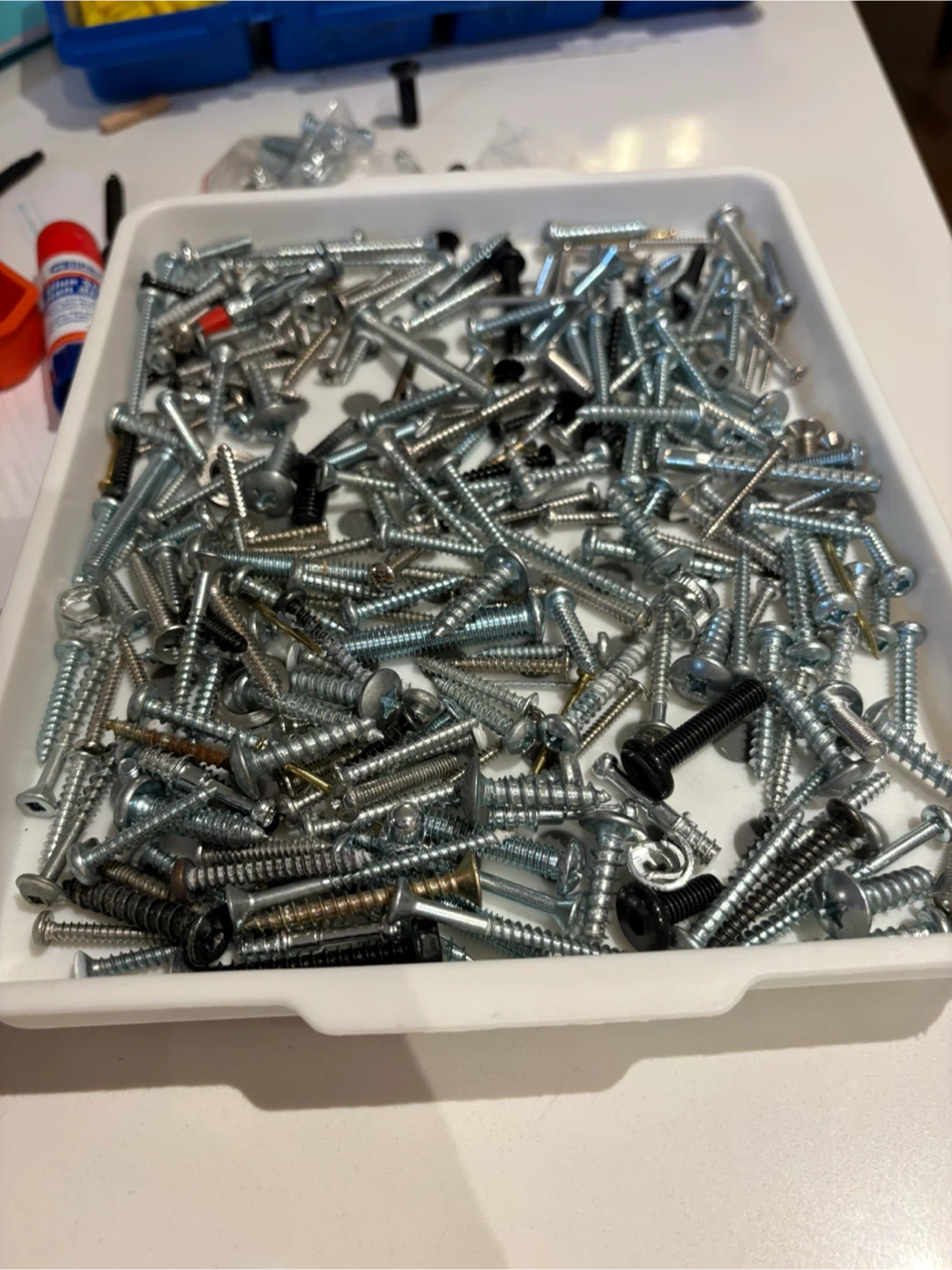 Assorted  Screws