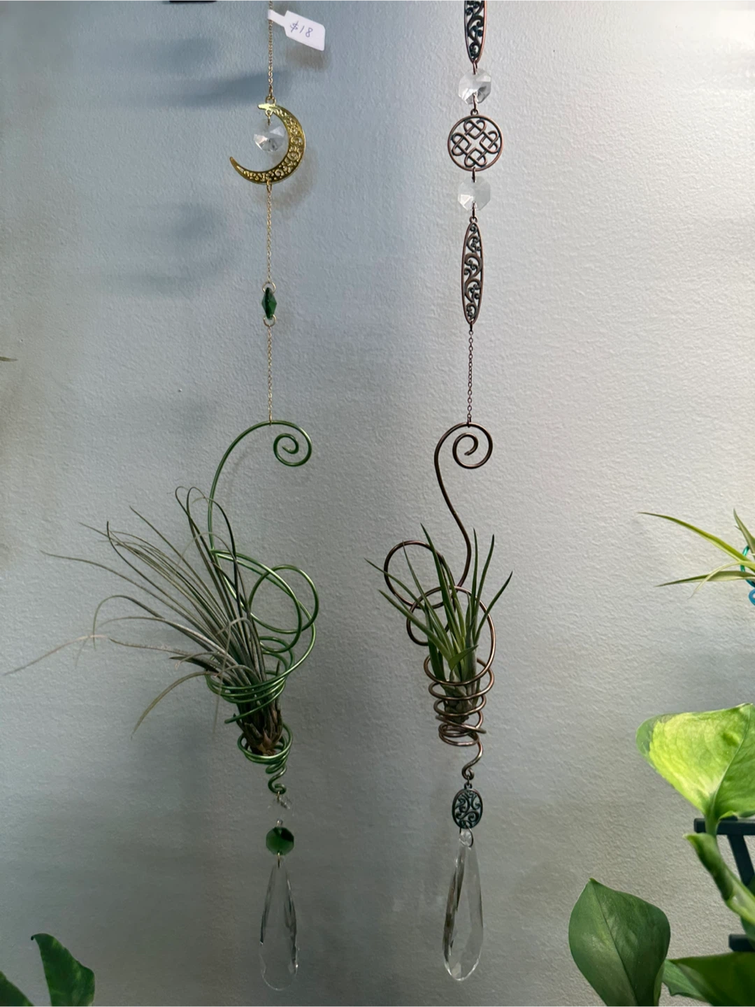 🌱✨Airplant Holder Suncatchers☀️ - photo 4