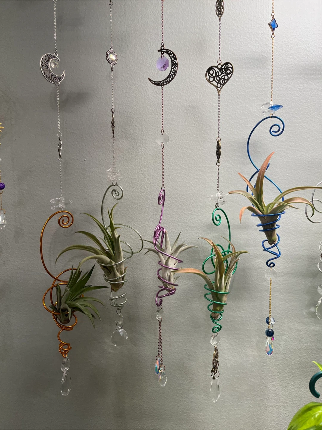 🌱✨Airplant Holder Suncatchers☀️