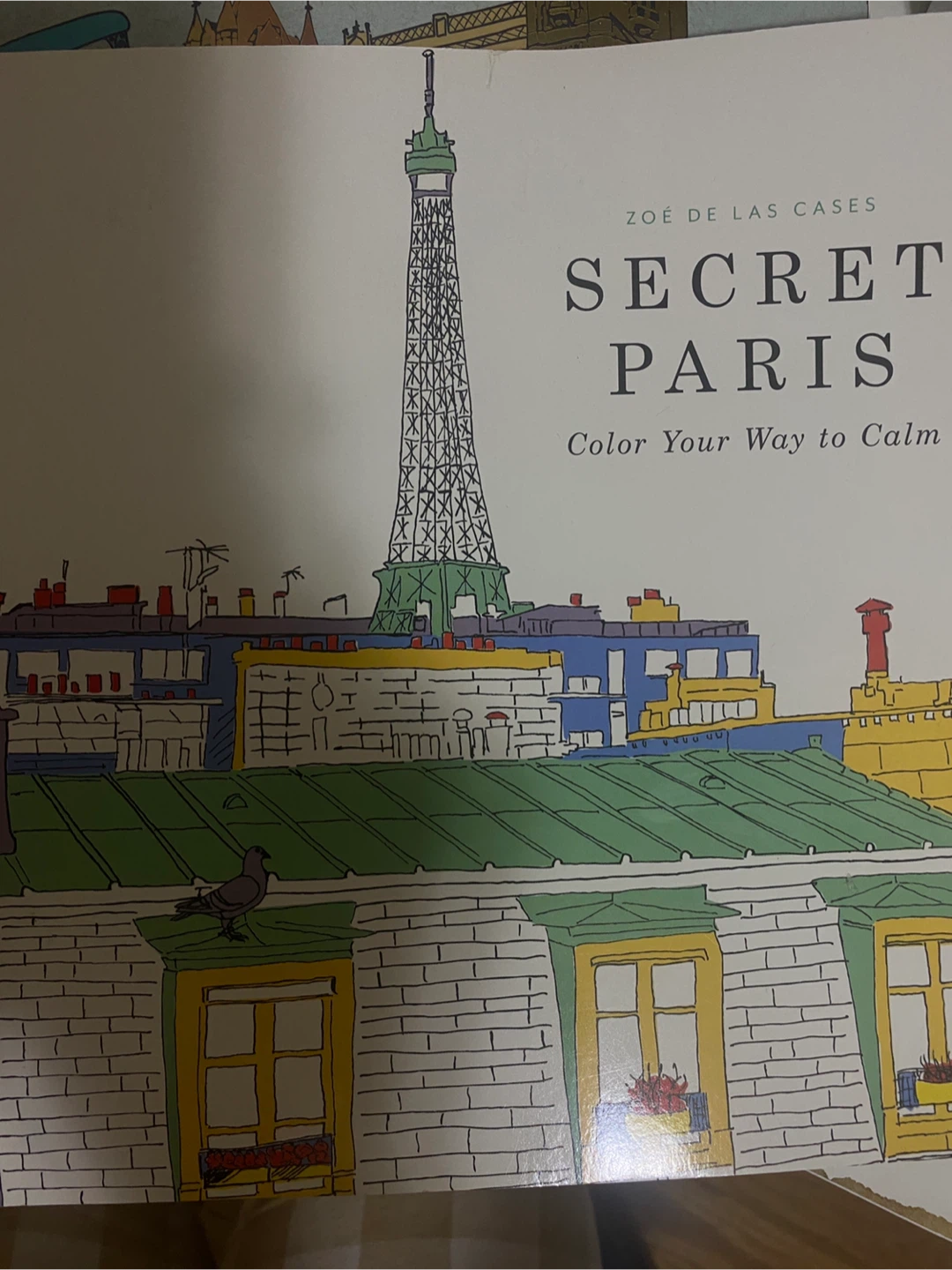 Secret Paris Coloring Book