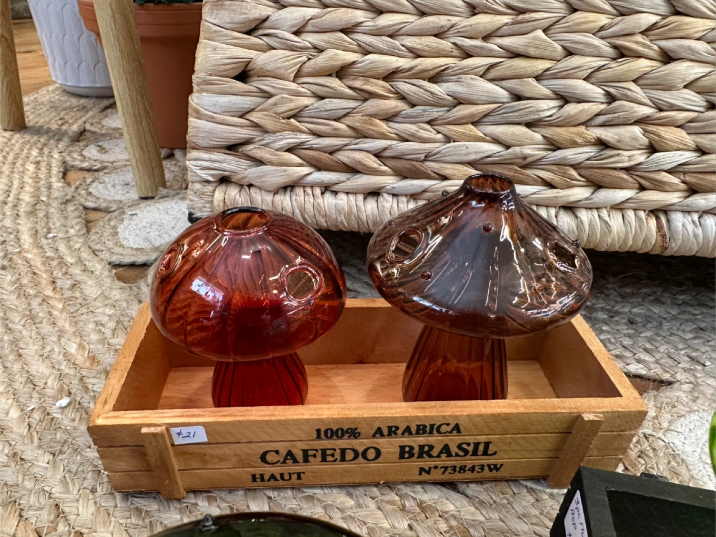 3pc Glass Mushroom Bud or Propagation vase sets - photo 3