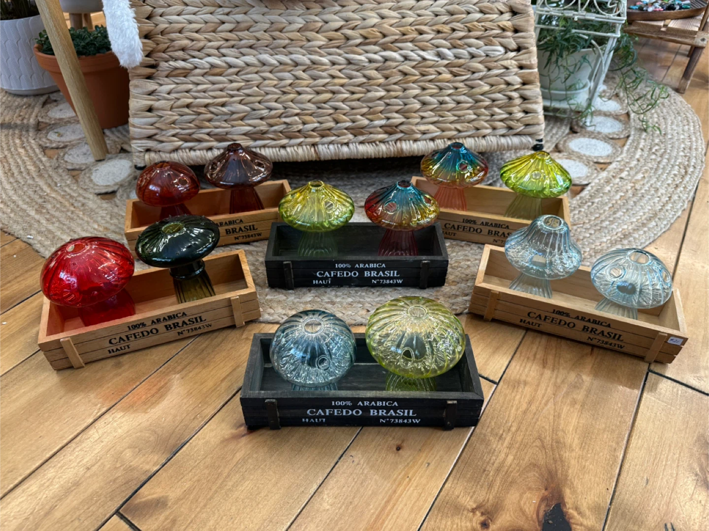 3pc Glass Mushroom Bud or Propagation vase sets