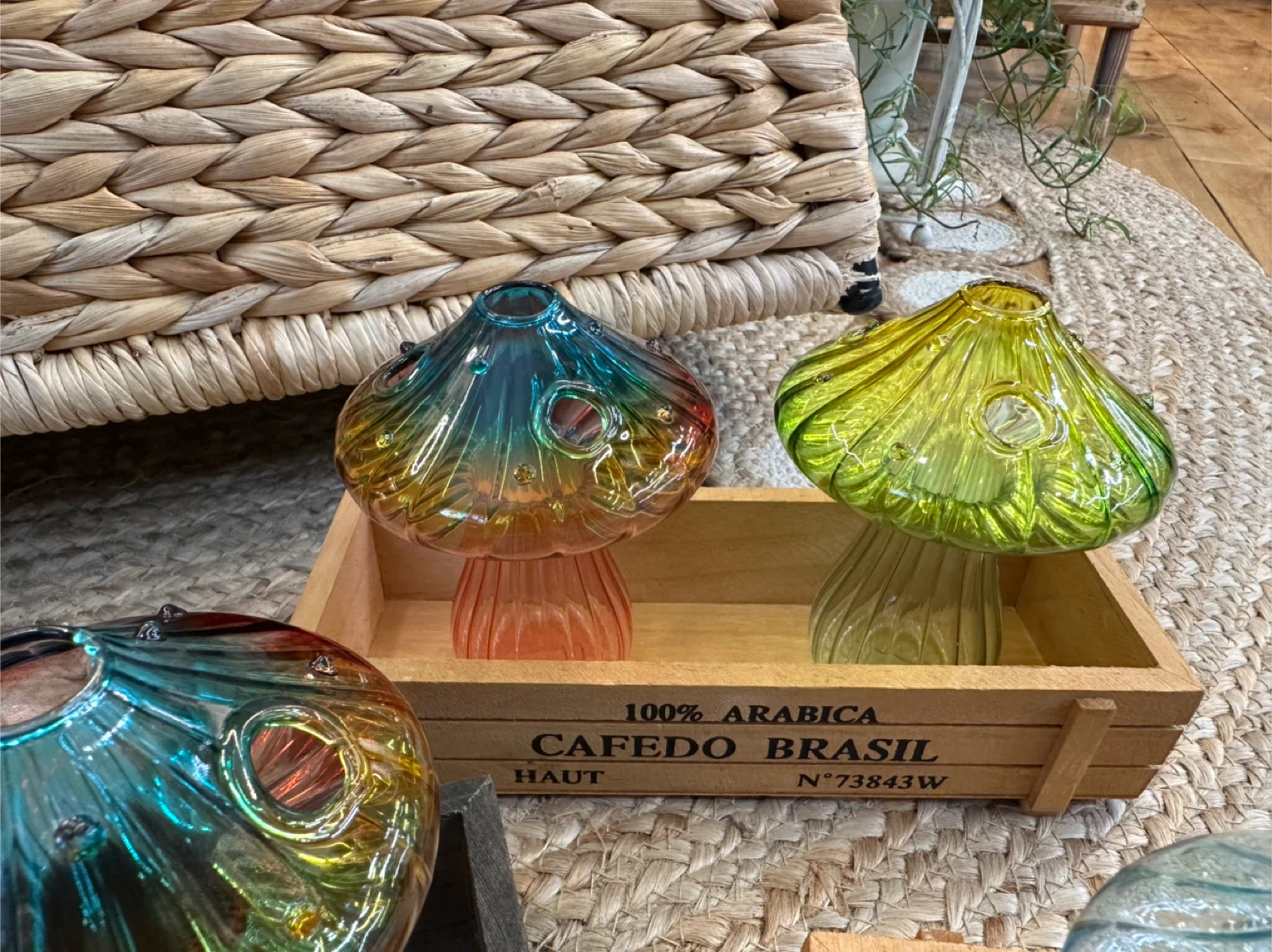 3pc Glass Mushroom Bud or Propagation vase sets - photo 5