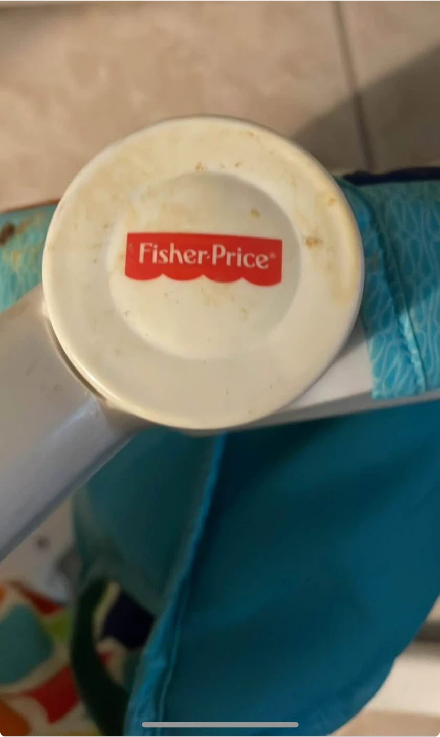 Fisher-Price Baby Bouncer Seat - photo 4