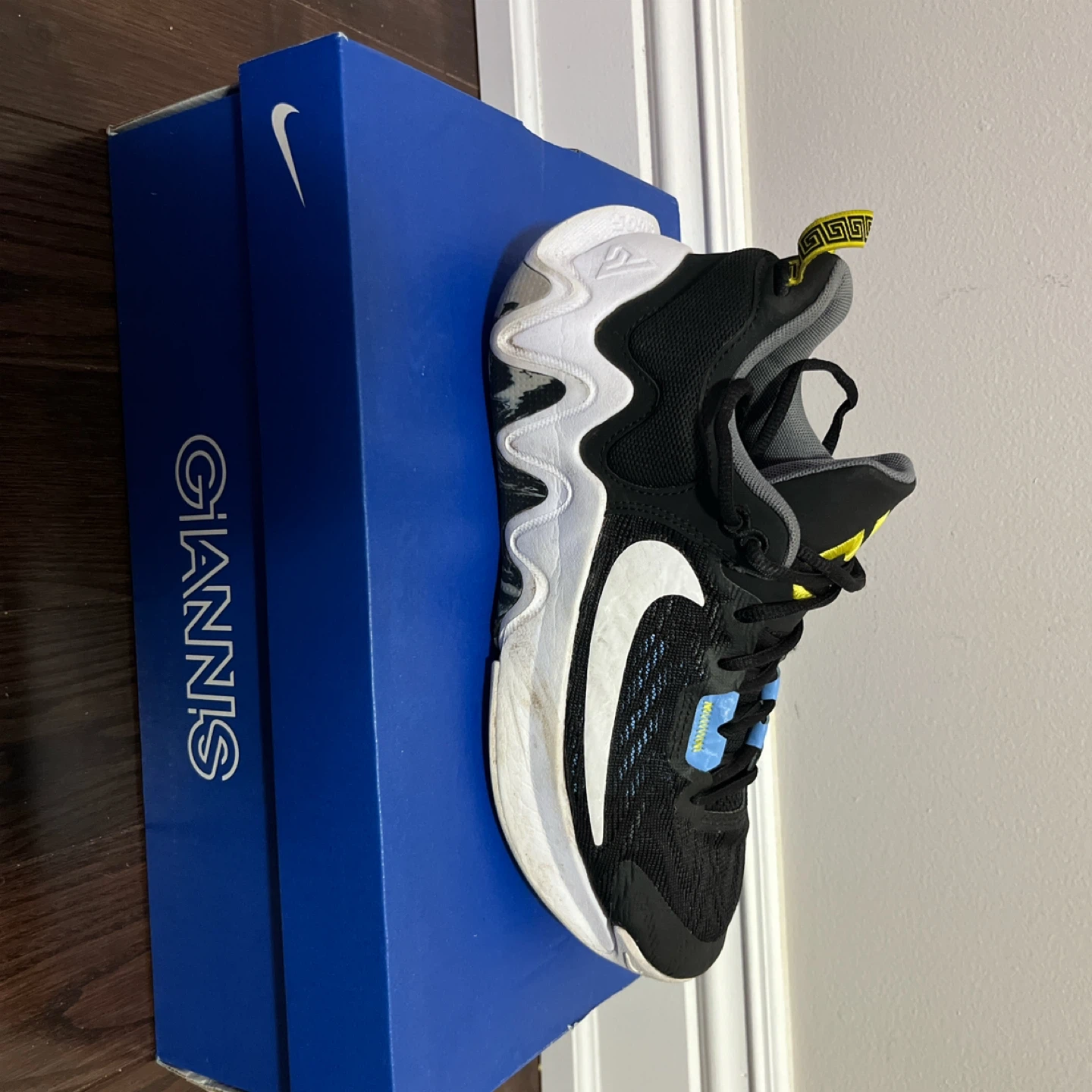 Nike Giannis Immortality 2 Basketball Shoes