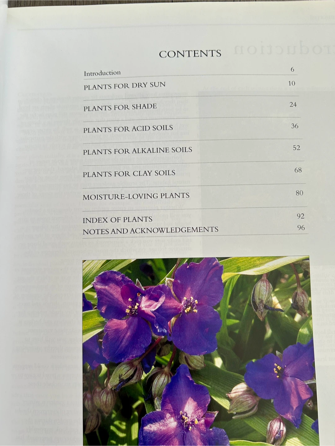 Best Ever Garden Plants Book, never used - photo 3