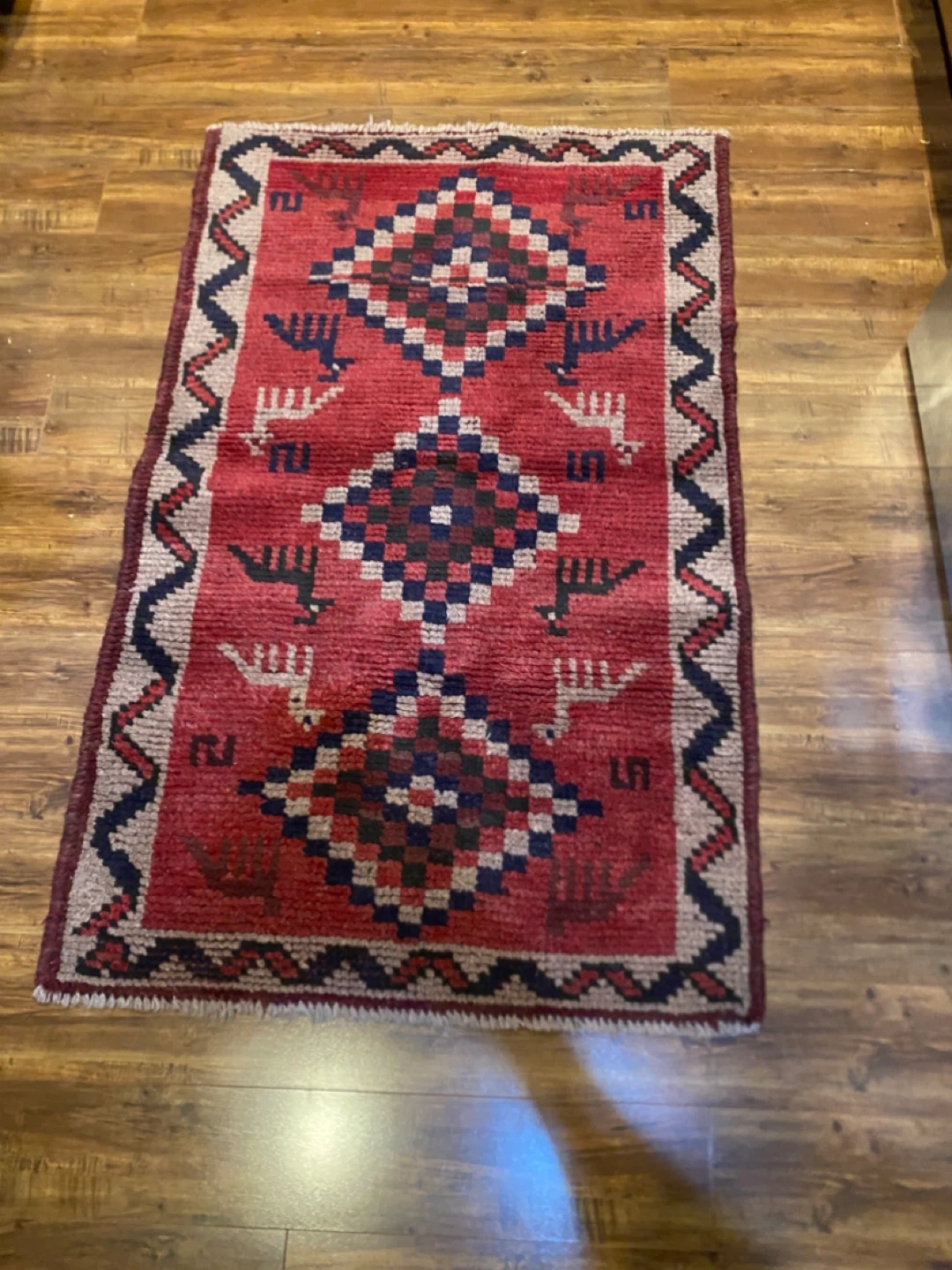 Authentic Hand Knotted Wool Persian Rug - Shiraz