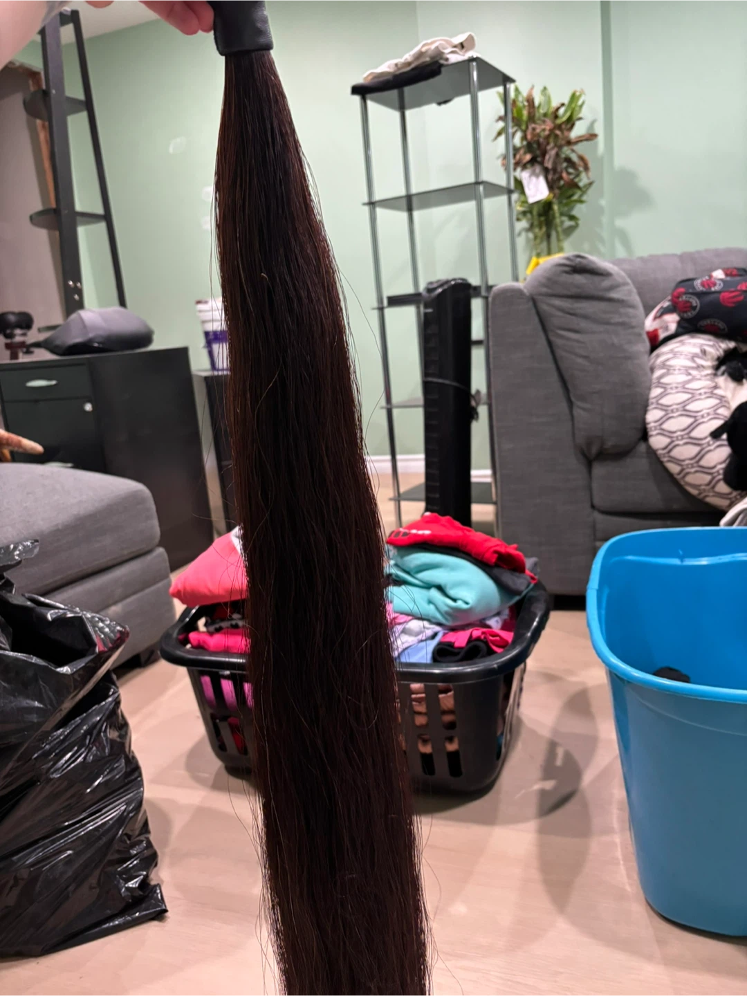 Horse show tail - photo 3