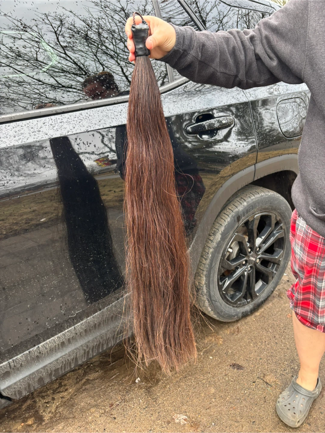 Horse show tail - photo 2