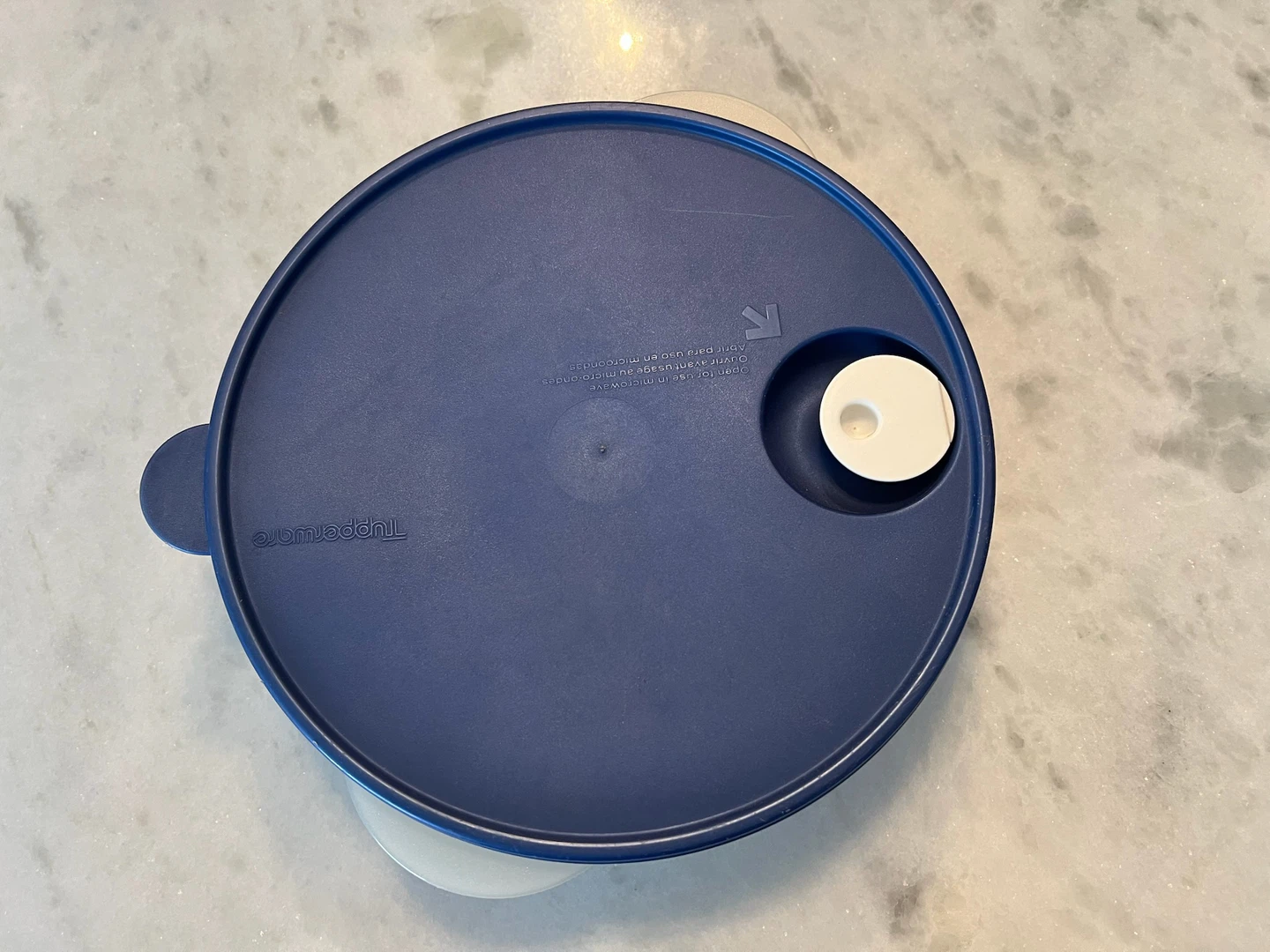 Tupperware Divided Serving Dish - photo 4