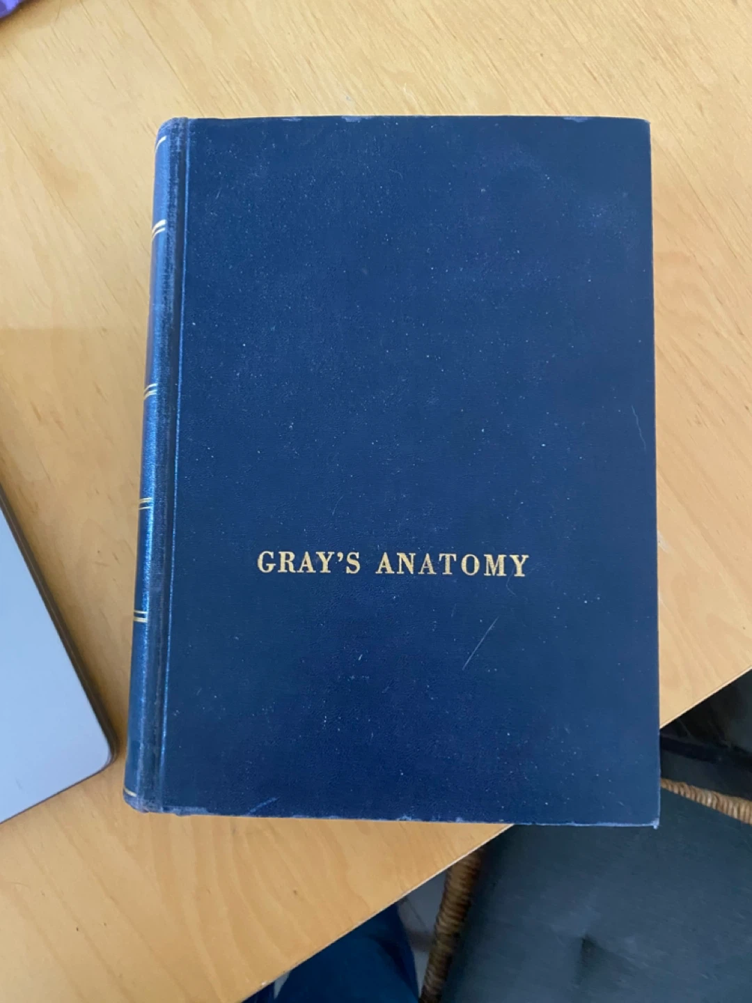 Gray's Anatomy Book