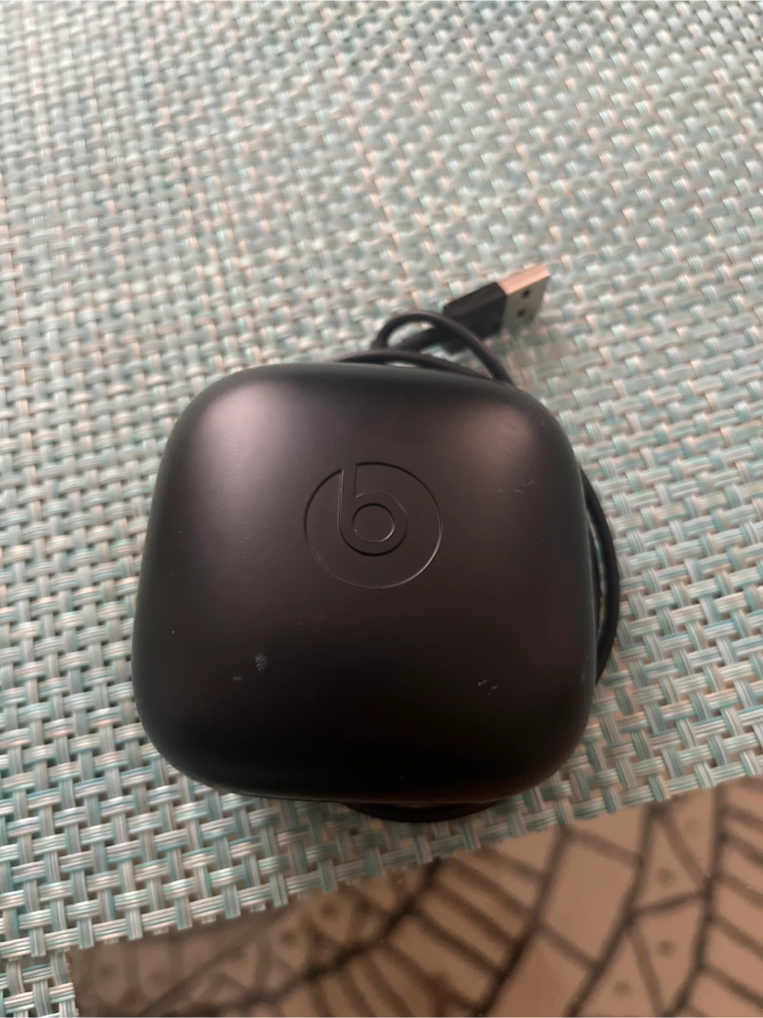 FREE - Beats Charging Case with USB Cable
