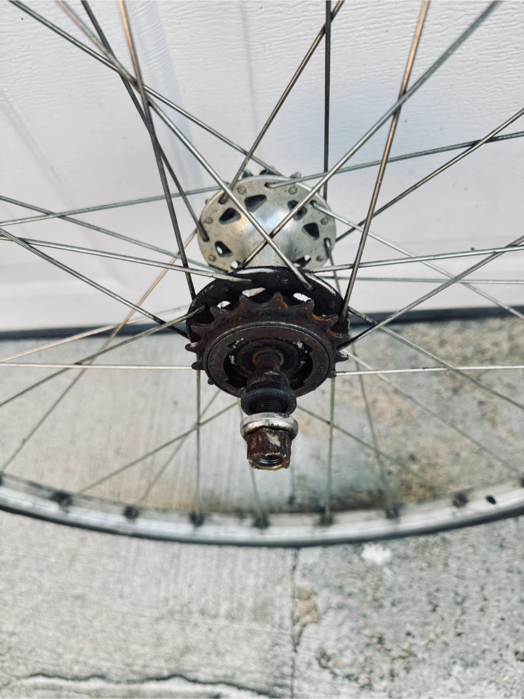 fixed/free 700/25 Wheel with Cassette - photo 2