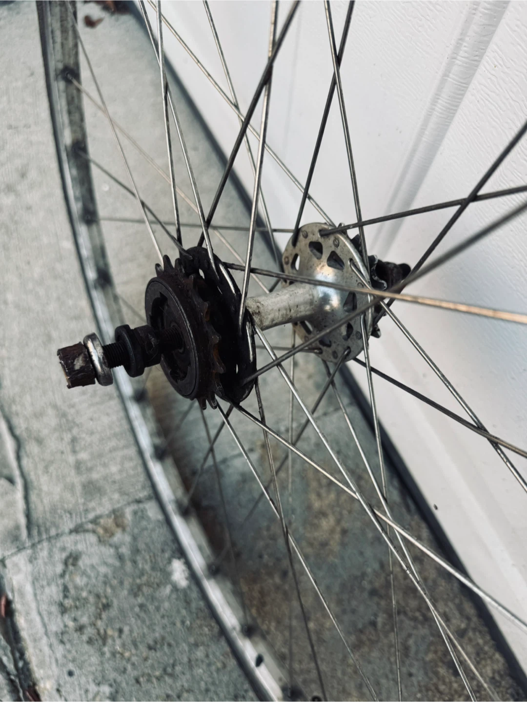 fixed/free 700/25 Wheel with Cassette