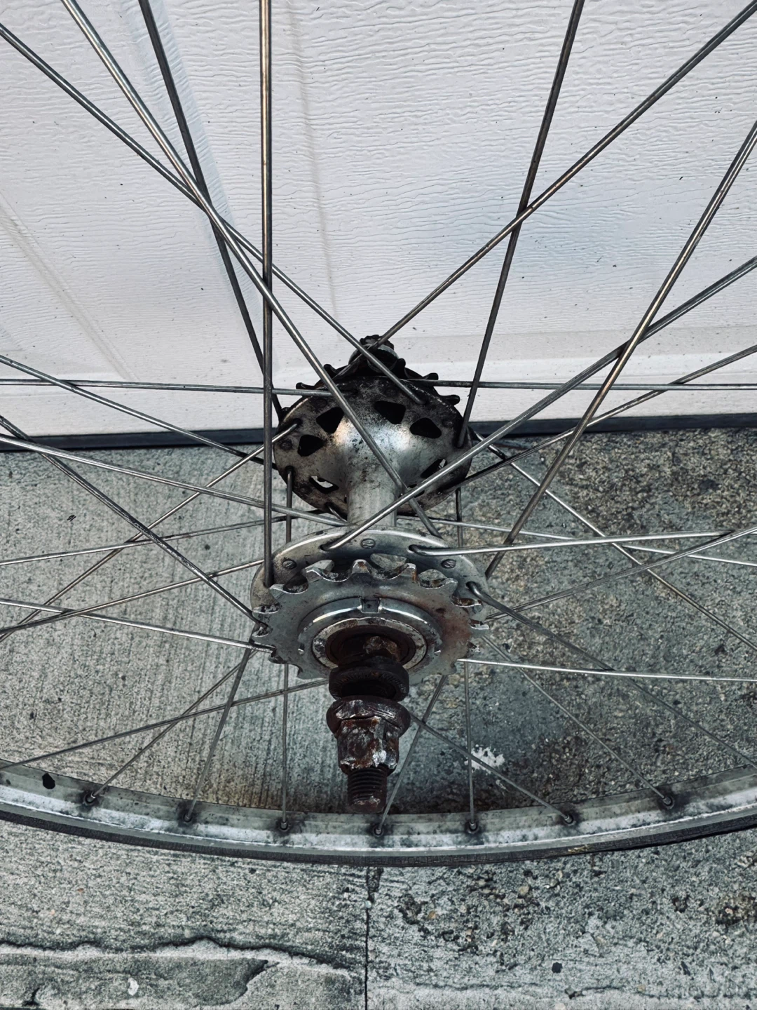 fixed/free 700/25 Wheel with Cassette - photo 3