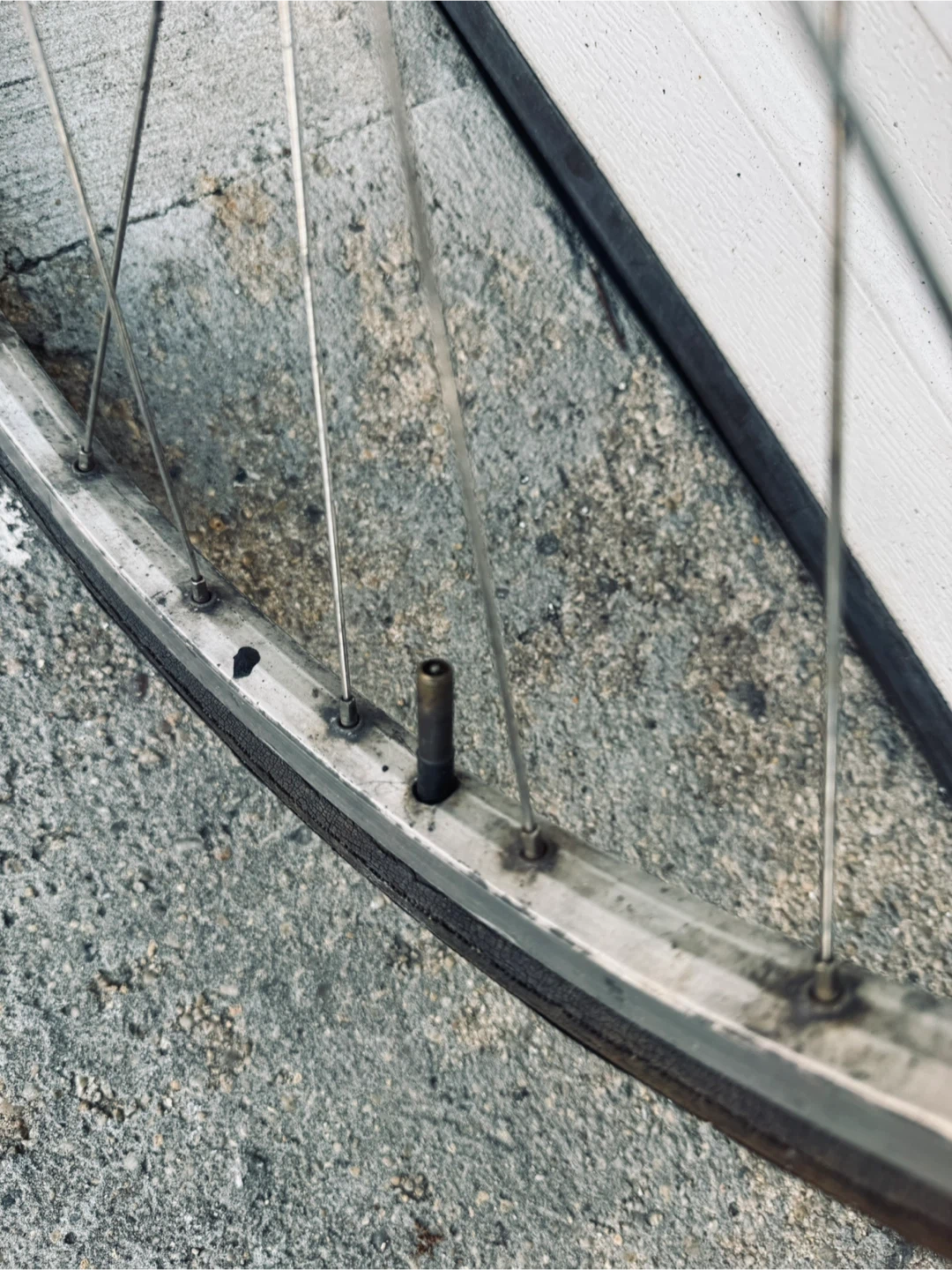 fixed/free 700/25 Wheel with Cassette - photo 5