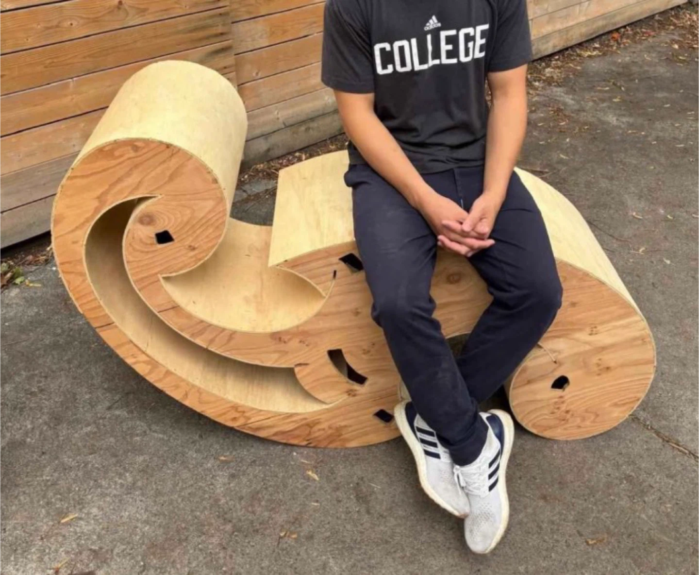 Unique Wood Sculpture Chair/Lounger w/Delivery - photo 2