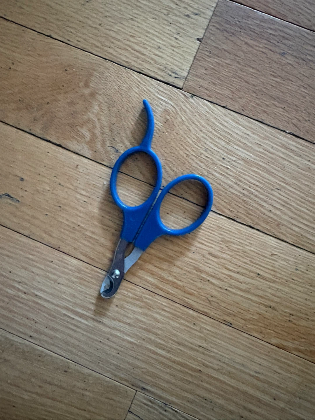 Blue Pet Nail Clippers