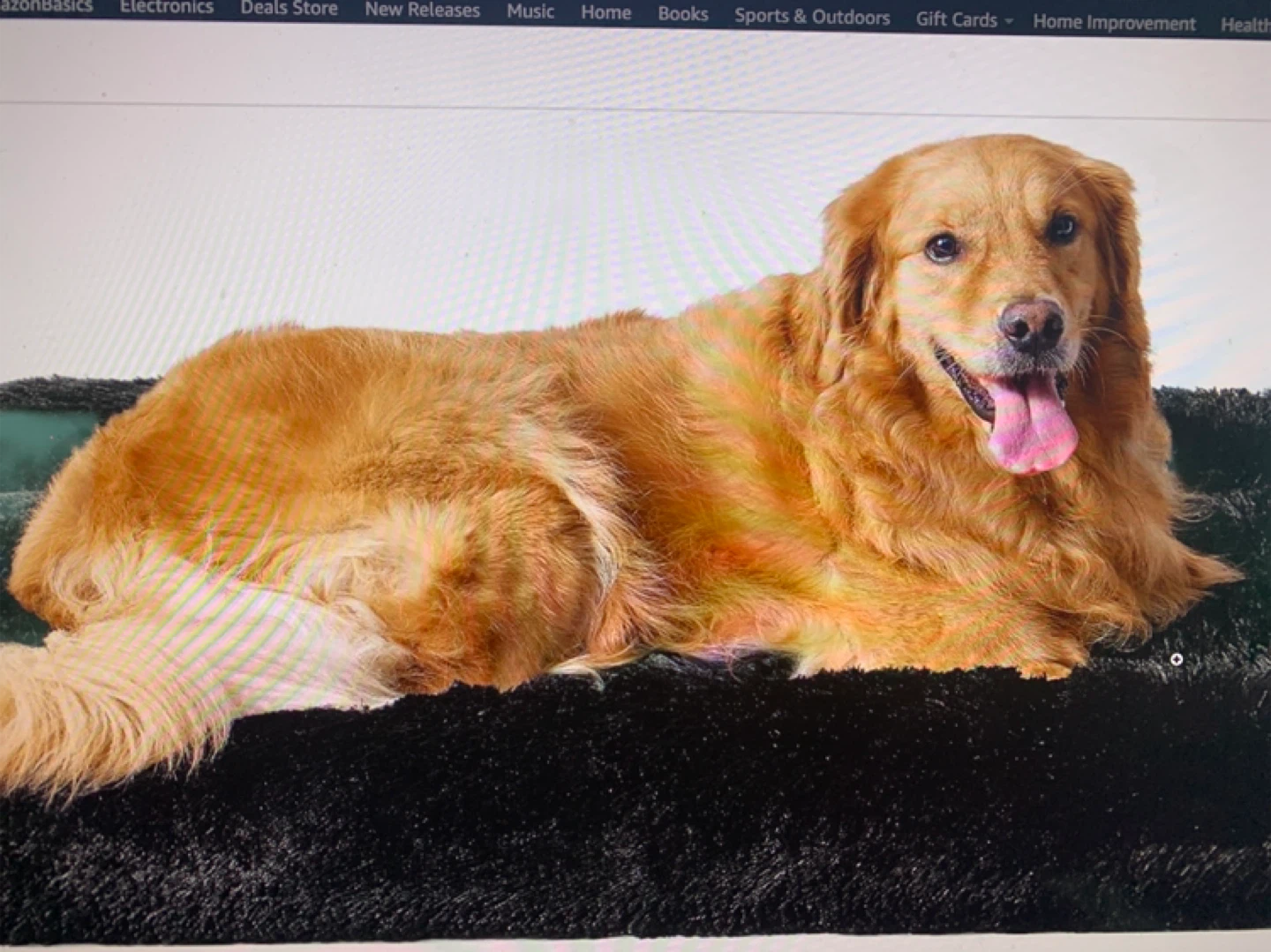 Black Plush Pet Bed 42x28 new - photo 4