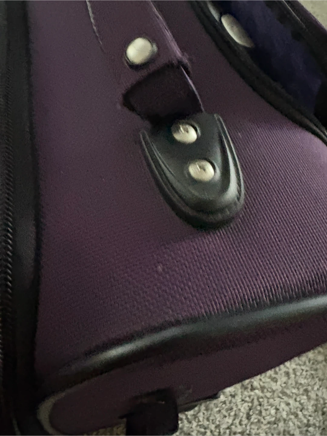 Ricardo Purple carry on Luggage - photo 3