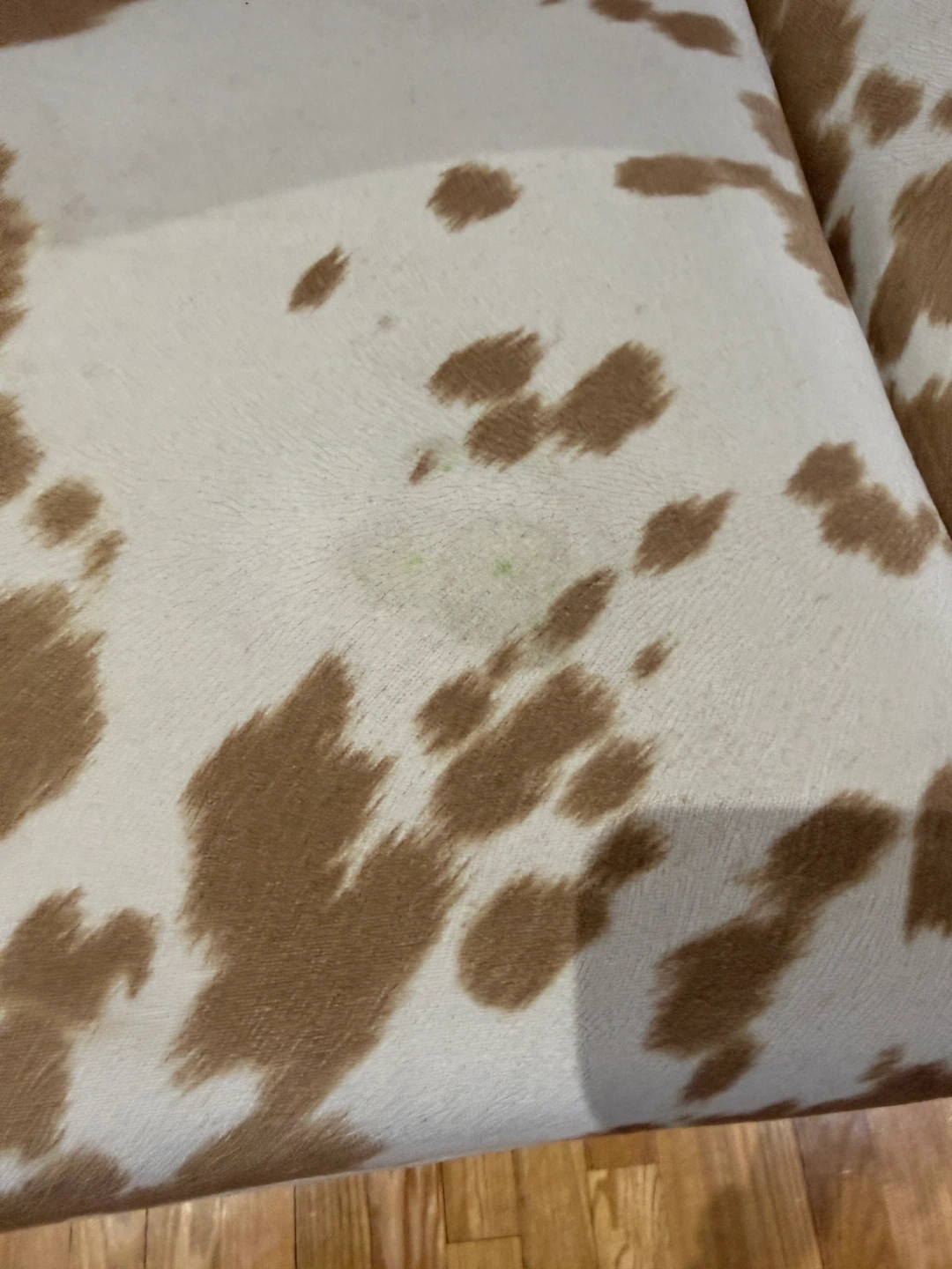 Set of 4 Cow Print Bar Stools ($50each) - photo 3