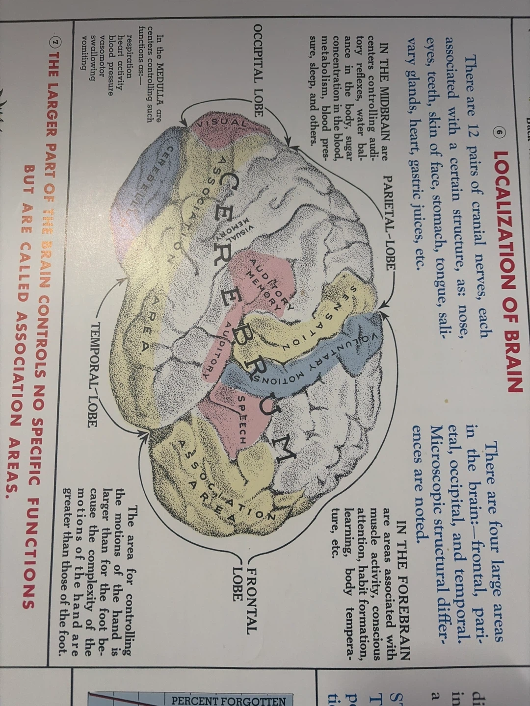 Vintage. Brain poster- Mechanisms of Correlation - photo 2