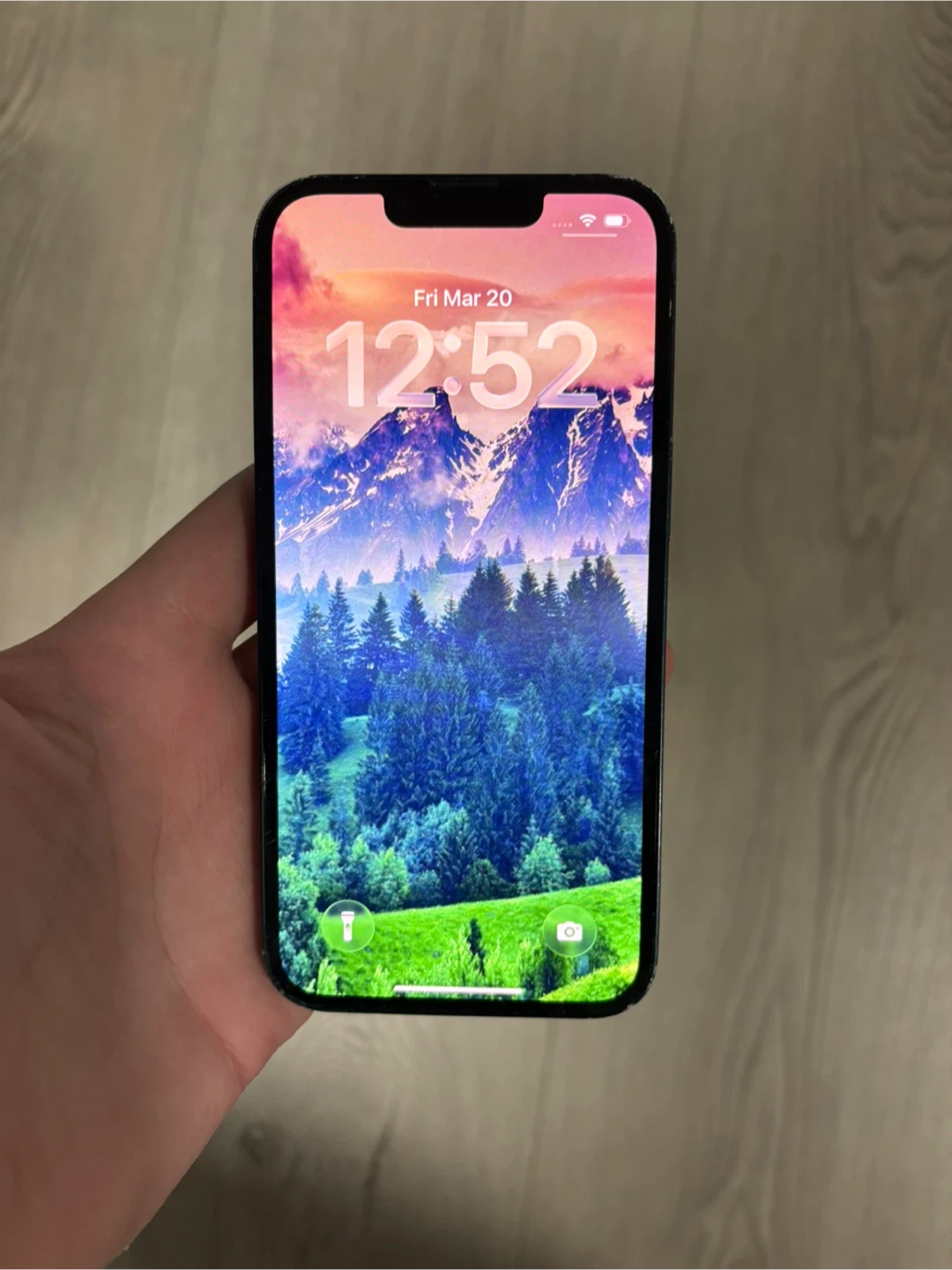 Apple iPhone 13 - photo 3