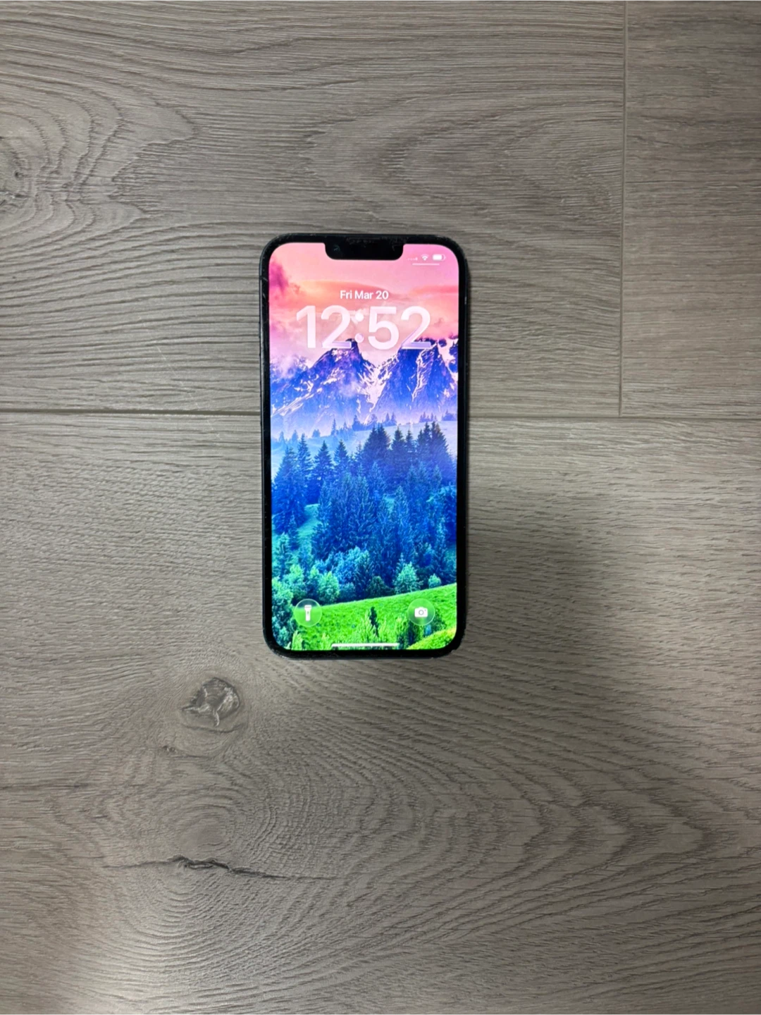 Apple iPhone 13 - photo 4