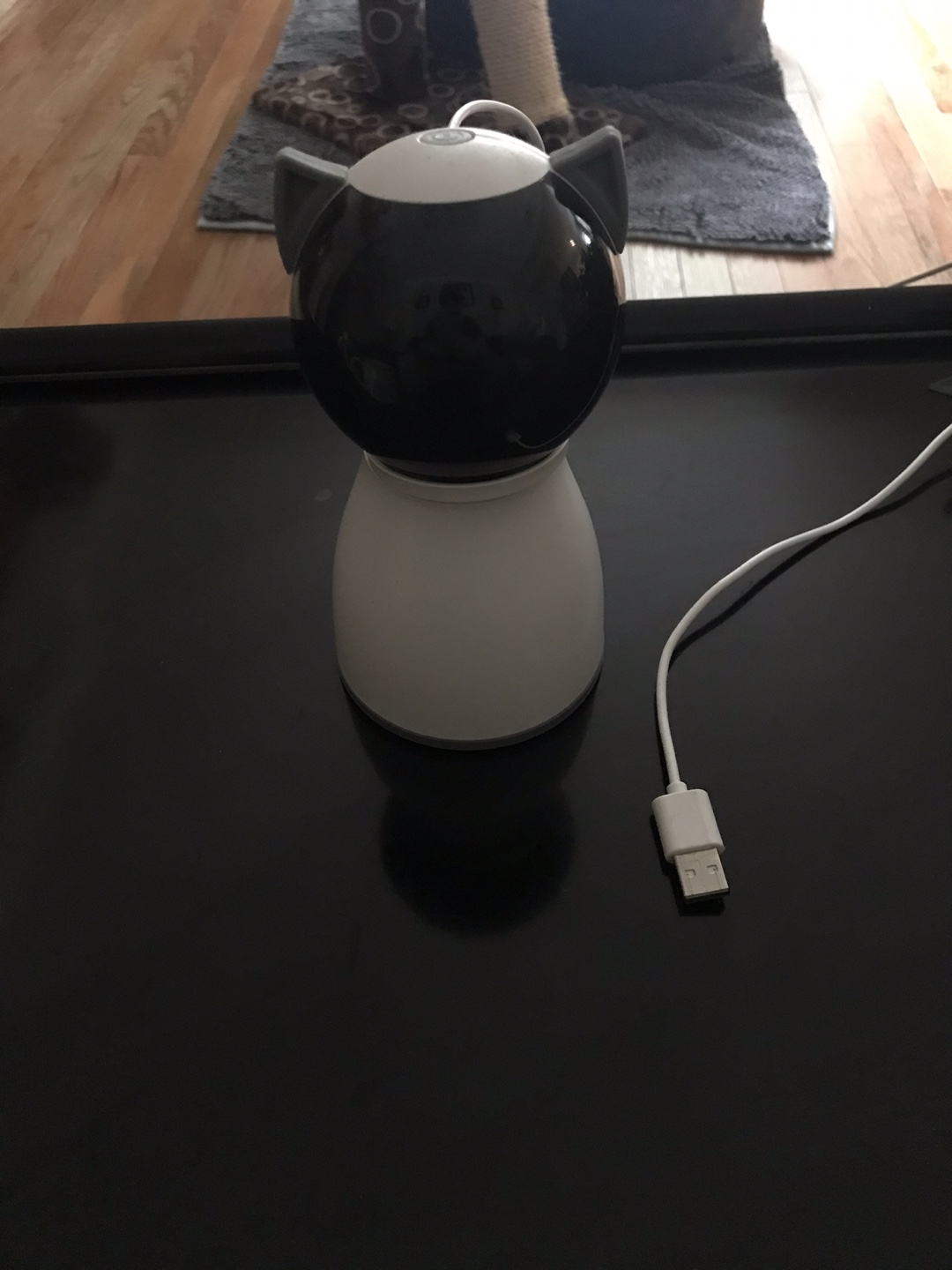 Cute Cat Ear Smart Pet laser Pointer