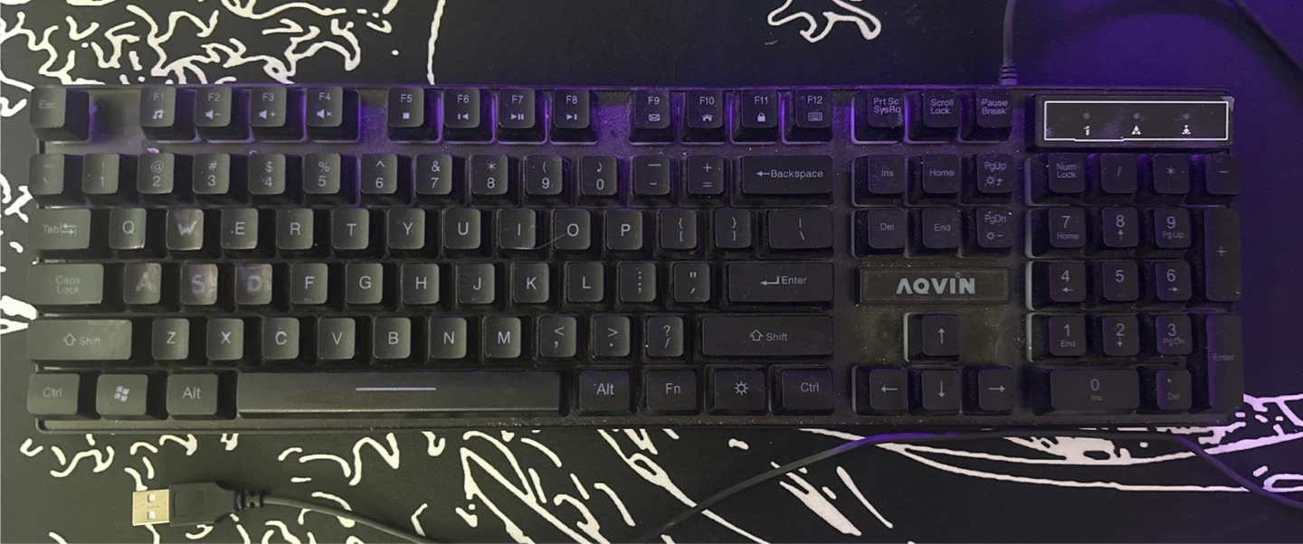 AQVIN LED Wired USB Keyboard