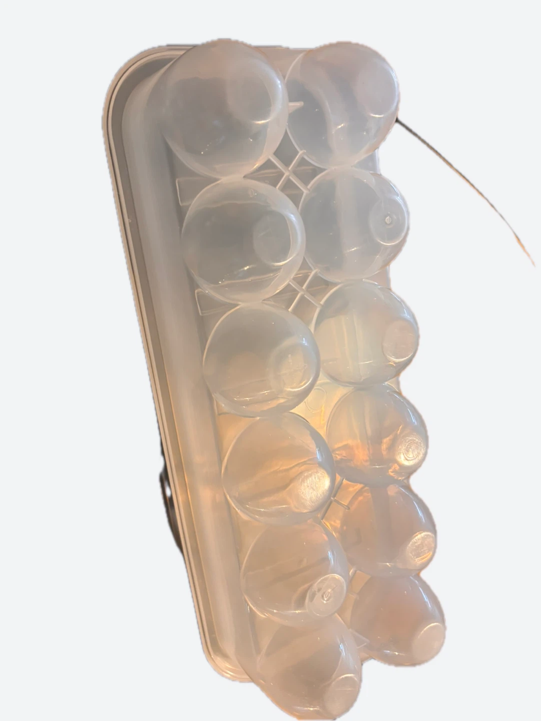 Plastic Egg Holder with Lid - photo 2