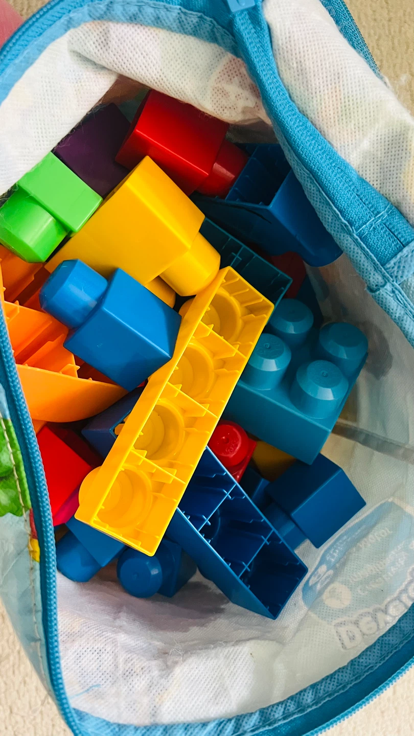 Mega Bloks First Builders Big Building Bag - photo 5